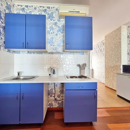 Apartment Vip Sovinion