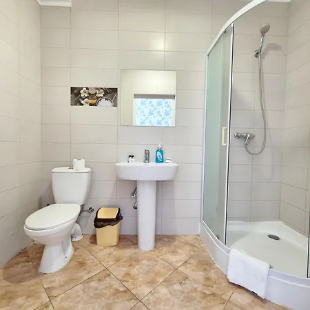 Apartment Vip Sovinion
