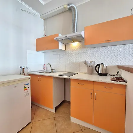 Apartment Vip Sovinion *