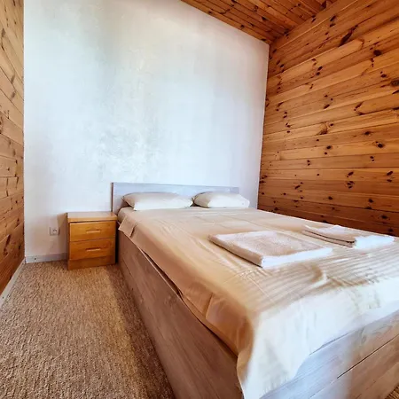 Apartment Vip Sovinion