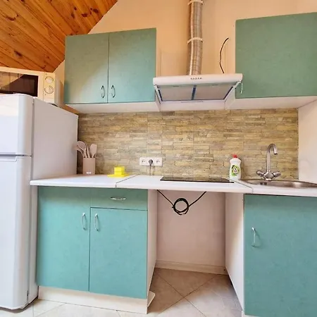 Apartment Vip Sovinion *