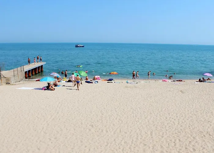 Vip Sovinion 公寓 敖德萨