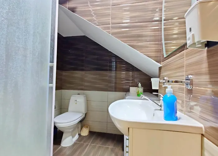 Apartment Vip Sovinion