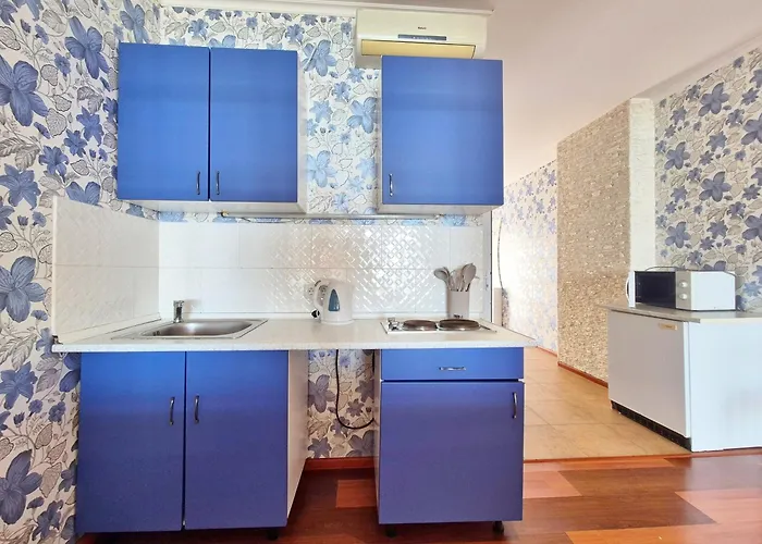 Apartment Vip Sovinion