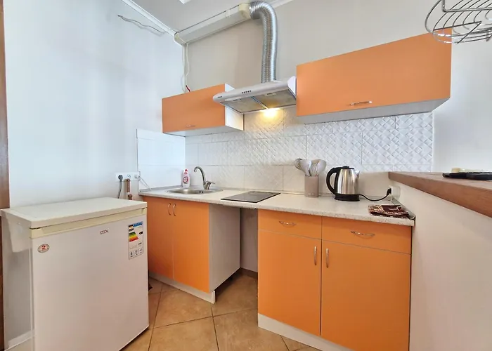 Apartment Vip Sovinion *